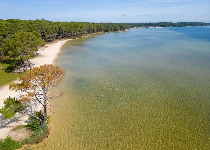 Moderne Centre-ville - A Proximite - 4 Pers - Wifi Et Parking Inclus - Fr-1-319-443 Biscarrosse