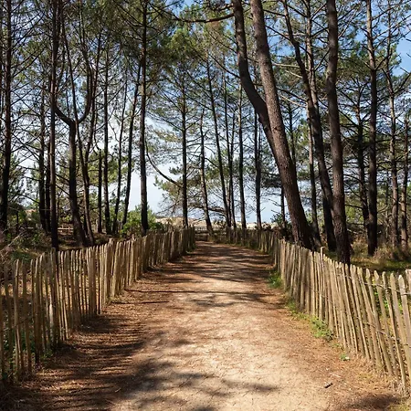 Appartamento Moderne Centre-ville - à Proximité - 4 Pers - Wifi Et Parking Inclus - Fr-1-319-443 *