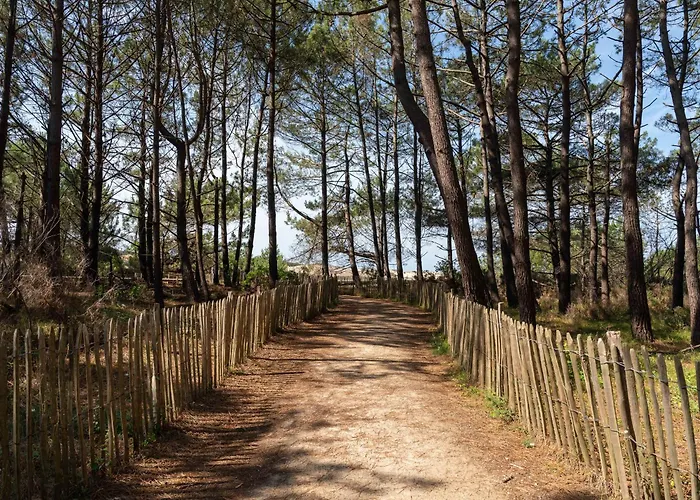 Lejlighed Moderne Centre-ville - A Proximite - 4 Pers - Wifi Et Parking Inclus - Fr-1-319-443 *